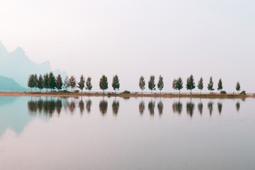 蒋梦洁