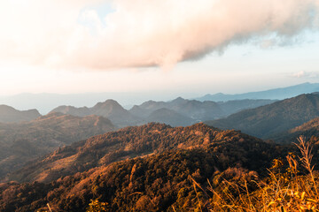 蒋梦洁