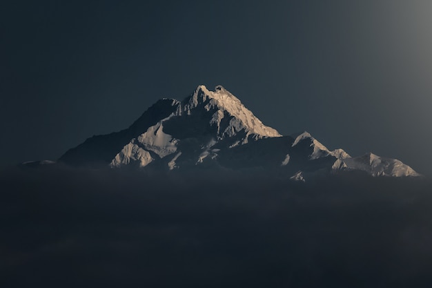 蒋梦洁