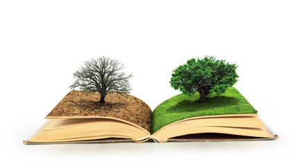 警方调查后，流光死亡做“极端”的钱的挑战